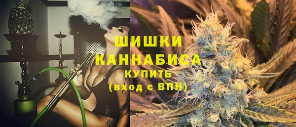 стафф Краснослободск