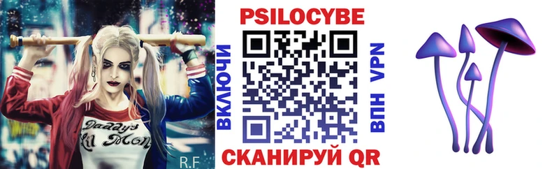 Купить закладки  Куровское  Галлюциногенные грибы Magic Shrooms 